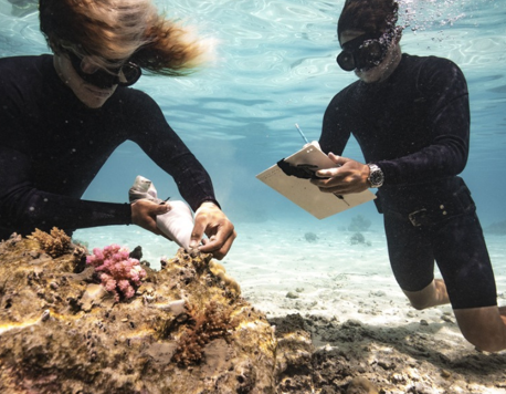 Rolex Perpetual Planet Initiative Teams Up with Coral Gardeners to Restore Coral Ecosystems
