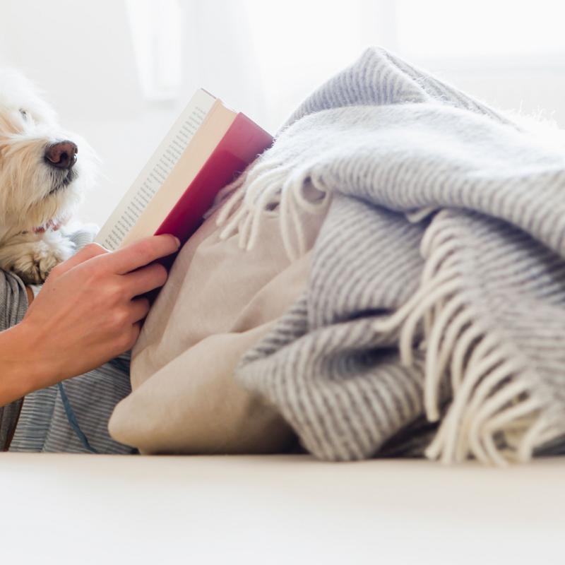 Kimpton Launches A Travel Book Club For Vacation Dreamers