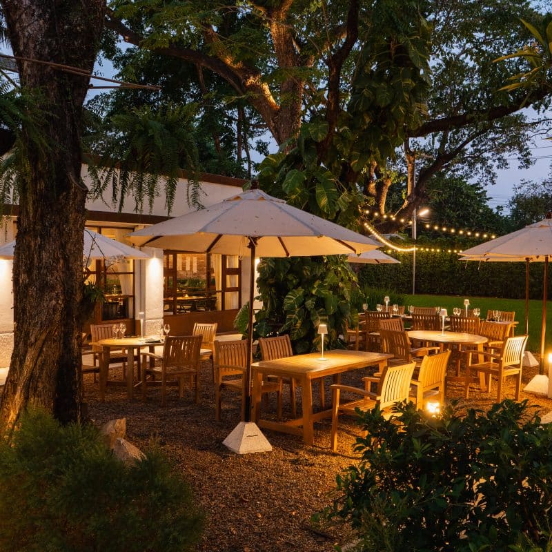 OWL BRASSERIE