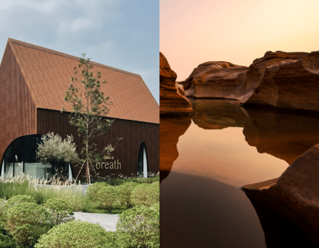 Travel in Mocha Mousse: Pantone’s Colour of the Year Inspires a Journey