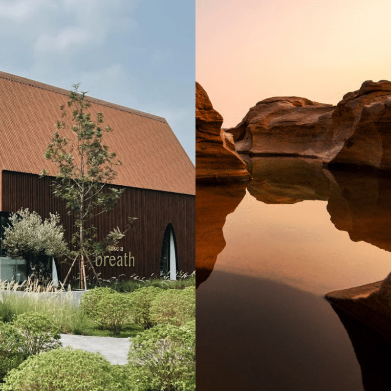Travel in Mocha Mousse: Pantone’s Colour of the Year Inspires a Journey
