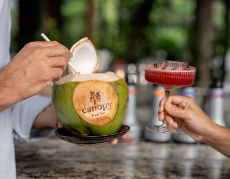 Canopy Tree Bar