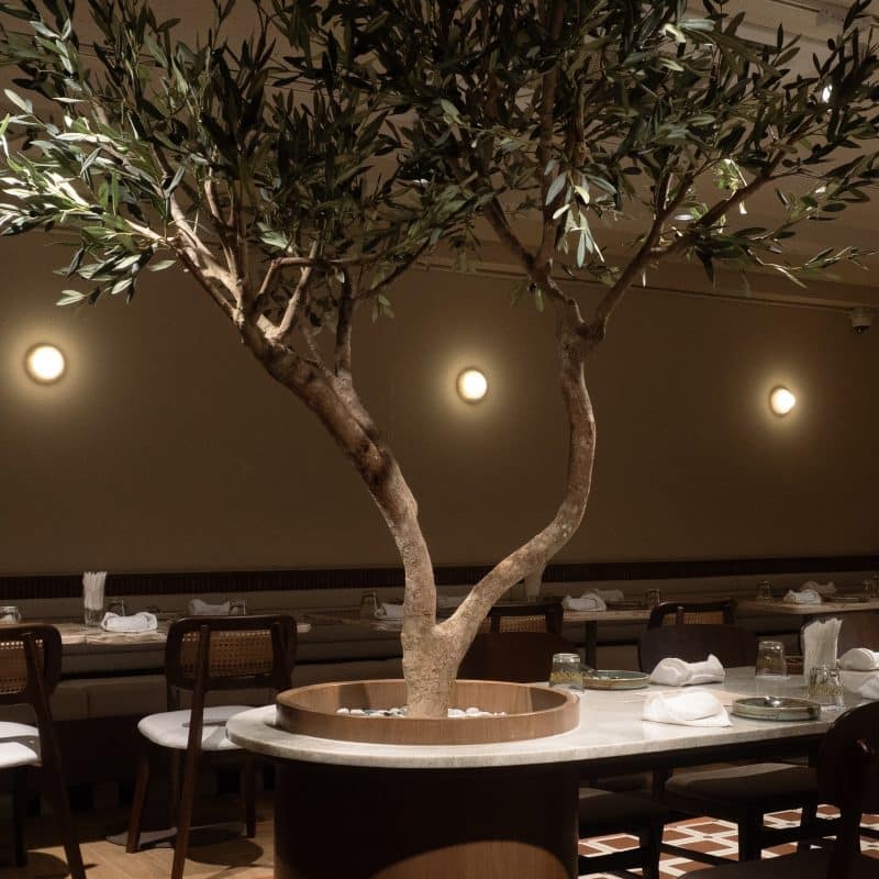 HNINN – Contemporary Brunch & Dining