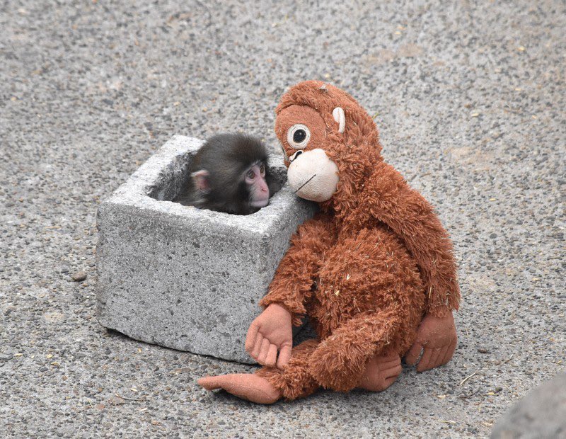 Punch-kun: What His Coming-of-Age Story Teaches Us