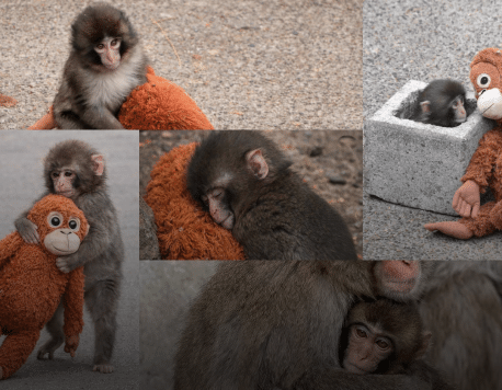 Punch-kun: What His Coming-of-Age Story Teaches Us