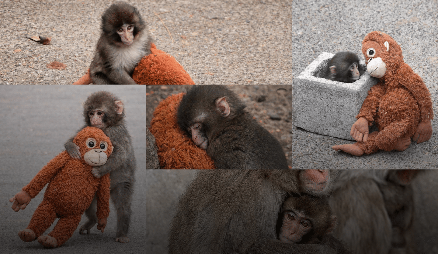 Punch-kun: What His Coming-of-Age Story Teaches Us