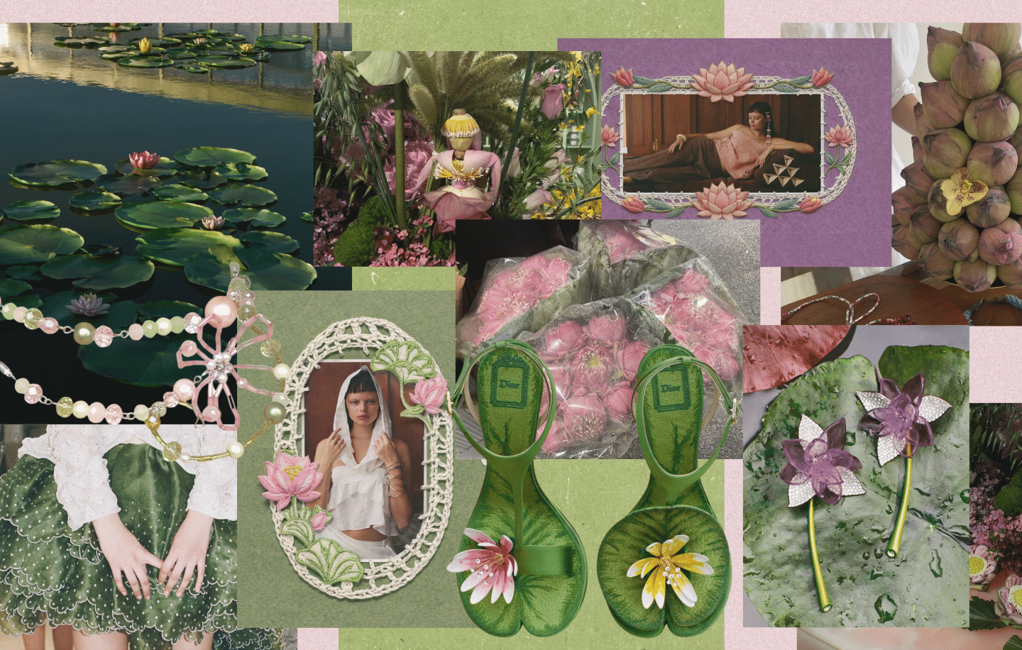 Lotus and the City: Bangkok in Bloom