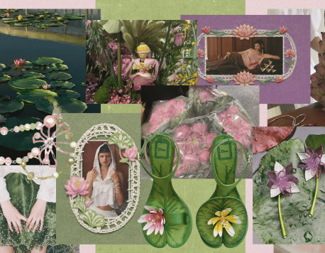 Lotus and the City: Bangkok in Bloom