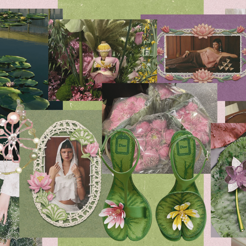 Lotus and the City: Bangkok in Bloom