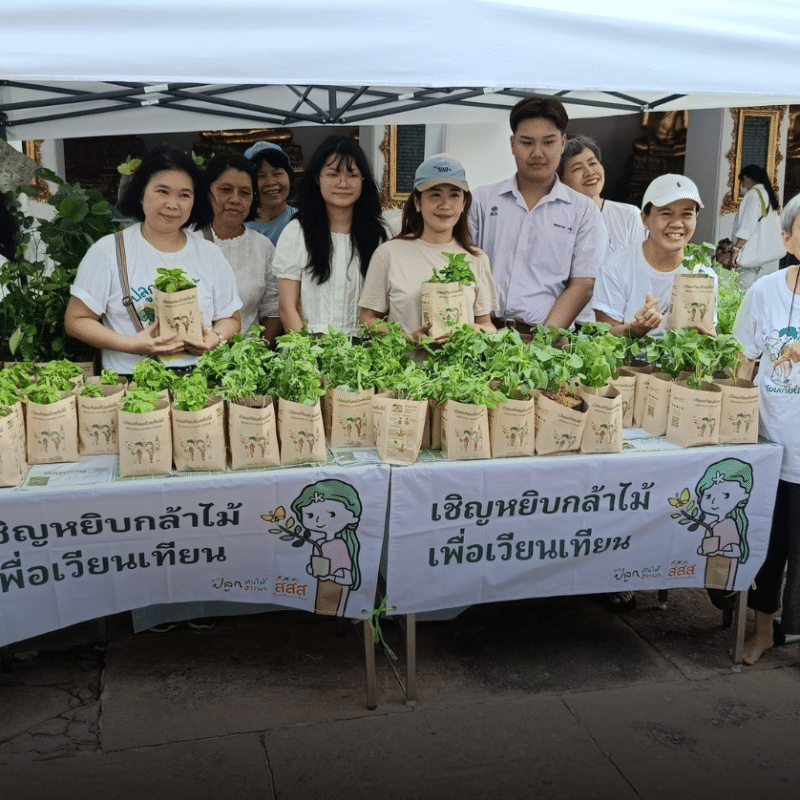 Carry Trees, Not Candles: Bangkok’s Green Makha Bucha Movement (and Where to Join)