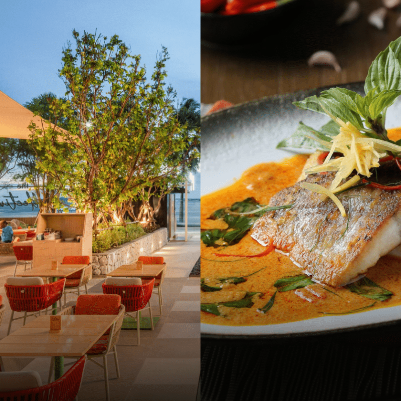 Koktail Kuisine: 8 Best Pattaya Restaurants for a Perfect Holiday Break