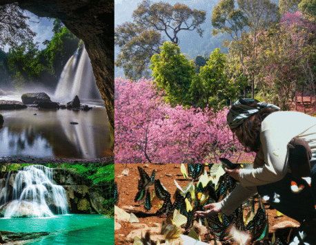 7 Must-Visit National Parks in Thailand and How to Explore Them