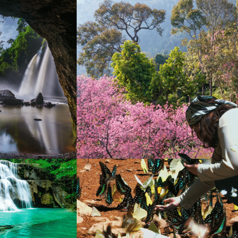 7 Must-Visit National Parks in Thailand and How to Explore Them