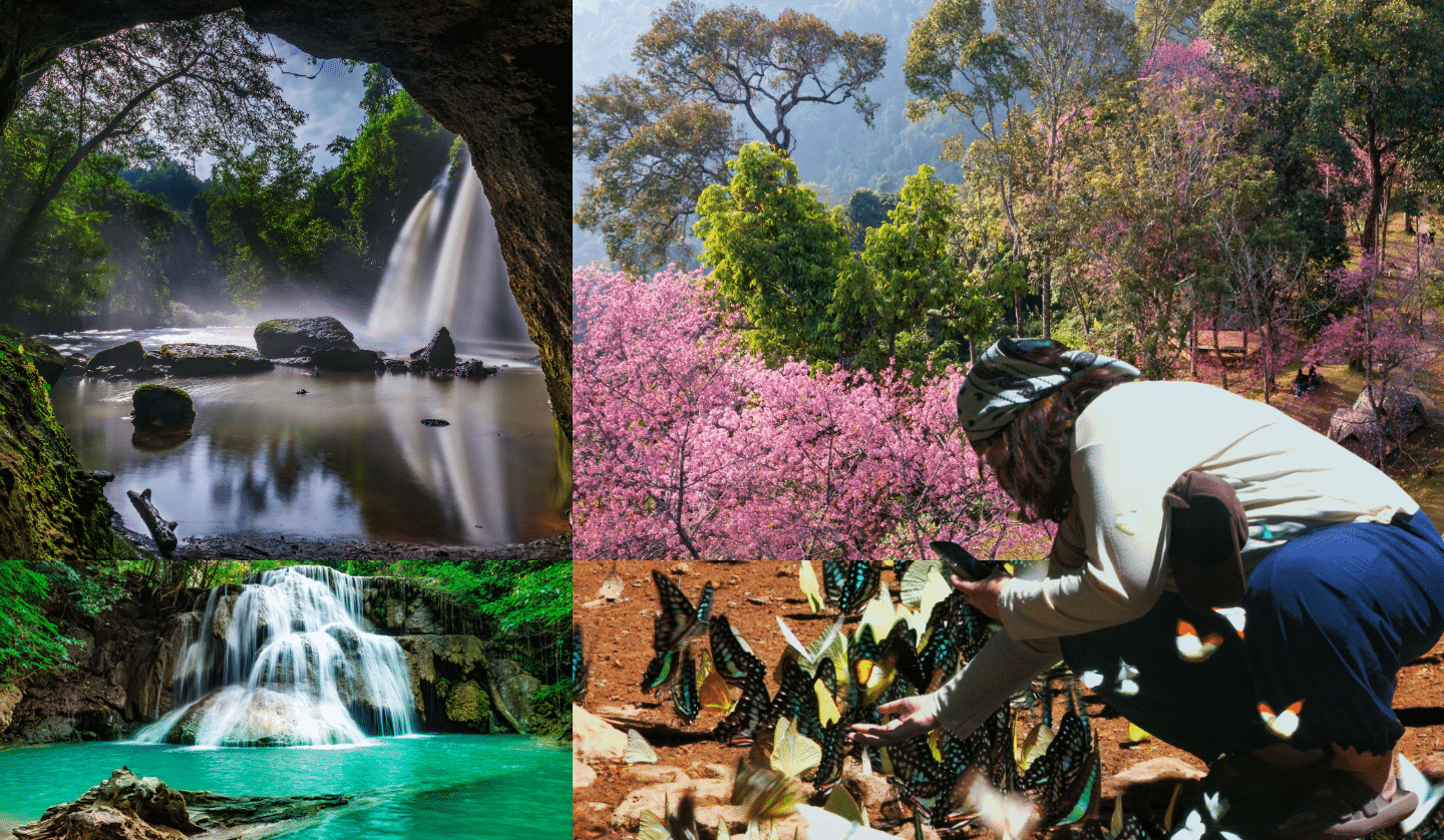 7 Must-Visit National Parks in Thailand and How to Explore Them