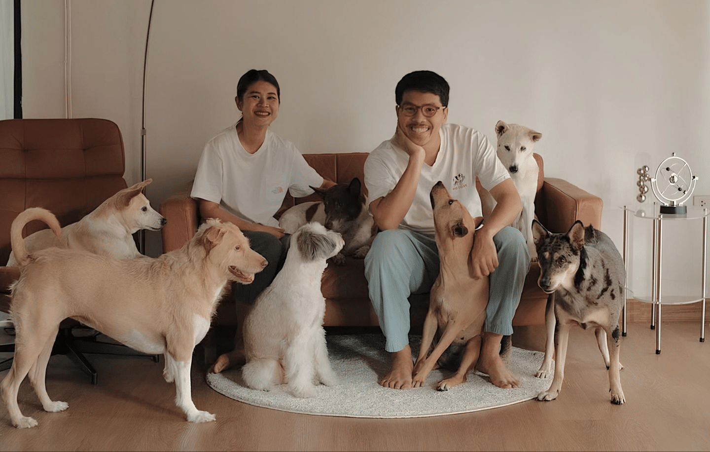 Friday Future Lister: Yorch, Gluta Story and Voices for Strays  