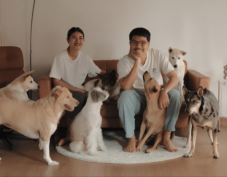 Friday Future Lister: Yorch, Gluta Story and Voices for Strays  