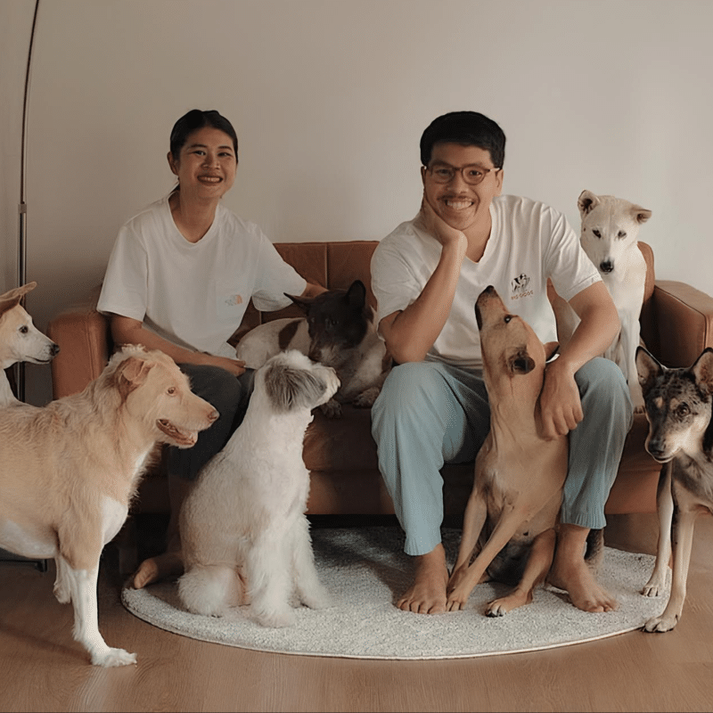 Friday Future Lister: Yorch, Gluta Story and Voices for Strays  