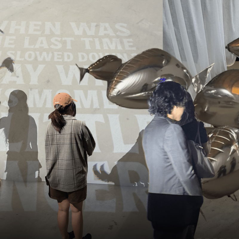 FLOCK OF Returns Home as bit.studio Opens a New Gallery at Slowcombo