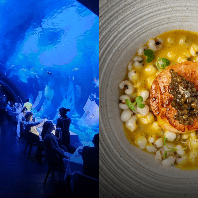 Koktail Kuisine: 6 Exquisite Tables in Phuket for a Glamorous Gastronomic Evening