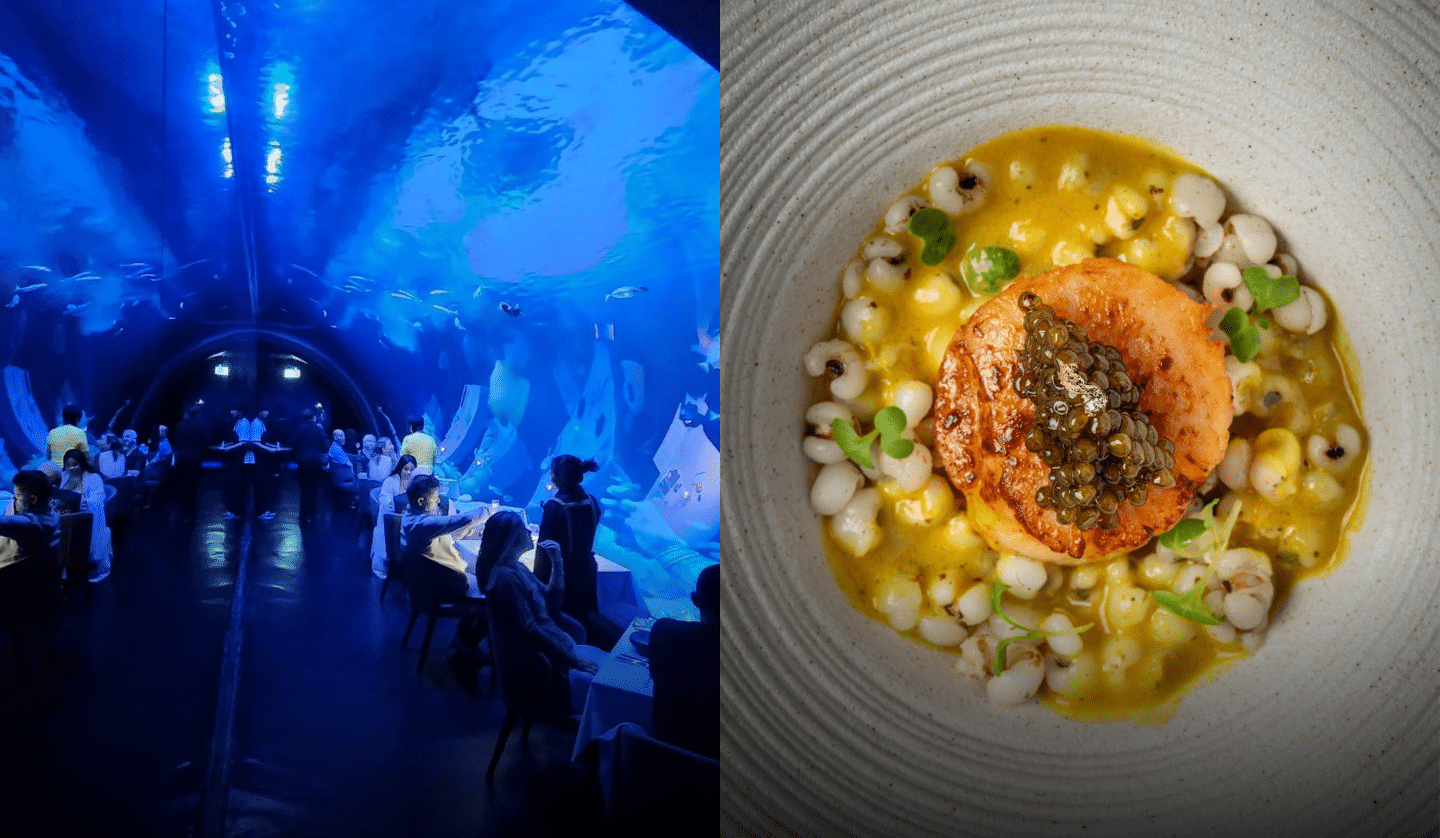 Koktail Kuisine: 6 Exquisite Tables in Phuket for a Glamorous Gastronomic Evening