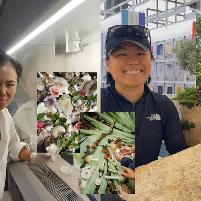 Friday Future Lister: Mon on Making Local Resources Matter for Chiang Dao